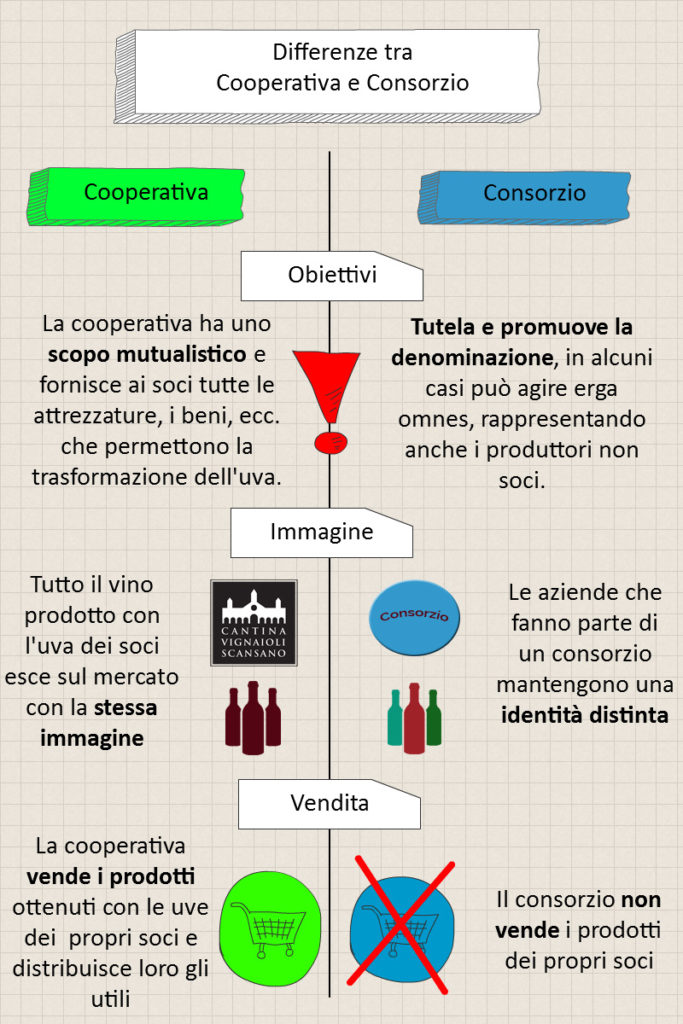 cooperativa o consorzio
